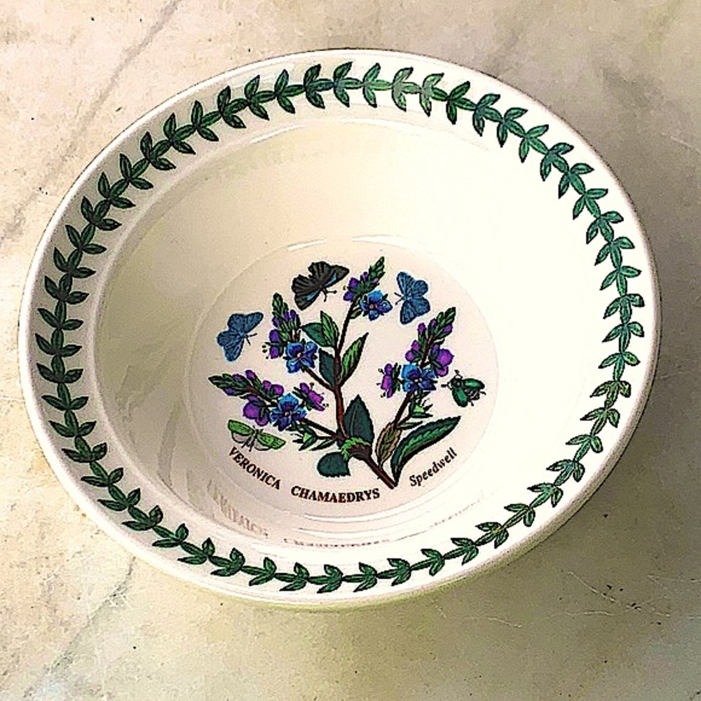 BOTANIC GARDEN BY PORTMEIRION SPEEDWELL OATMEAL CEREAL BOWL NEW ENGLAND